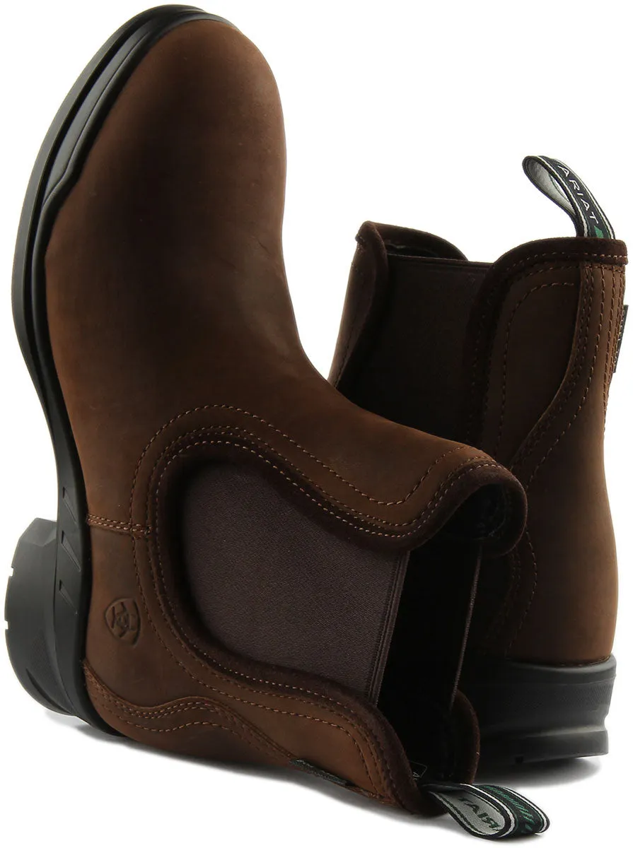 Ariat Keswick Steel Toe In Brown For Women