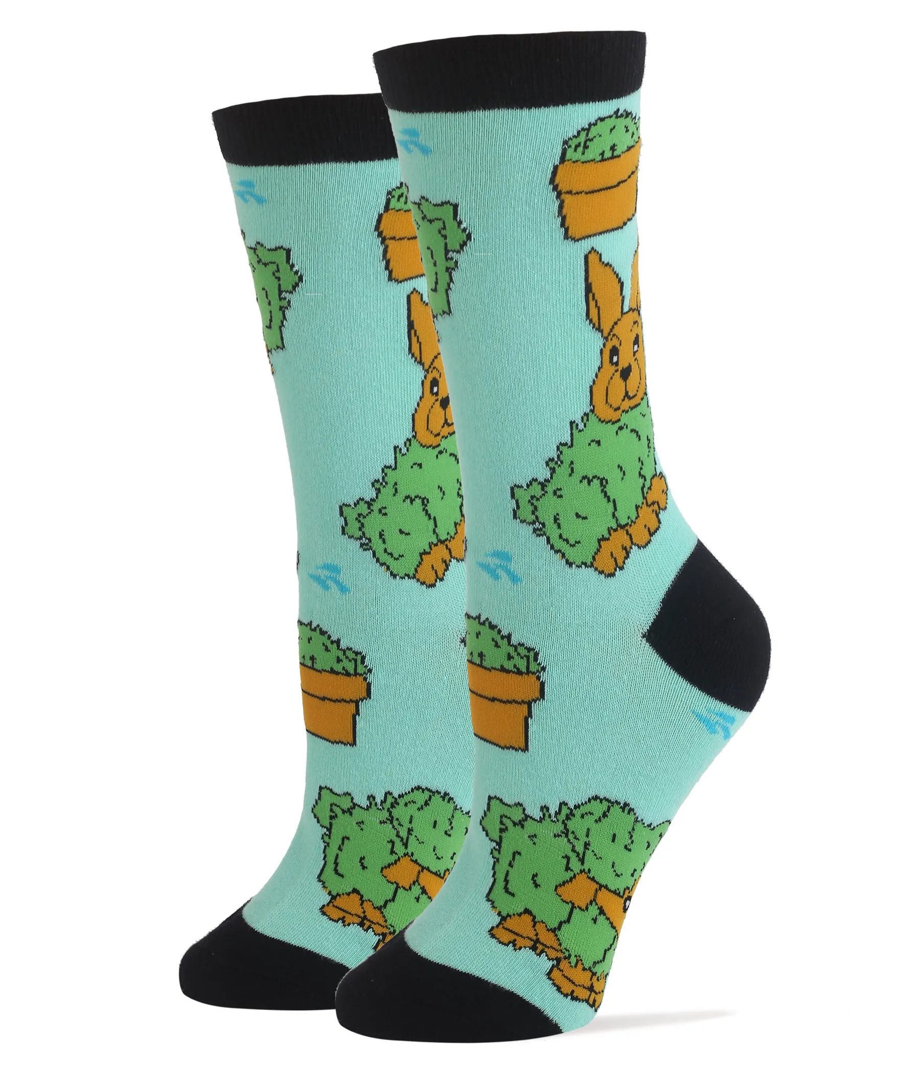 Chia Bunny Socks