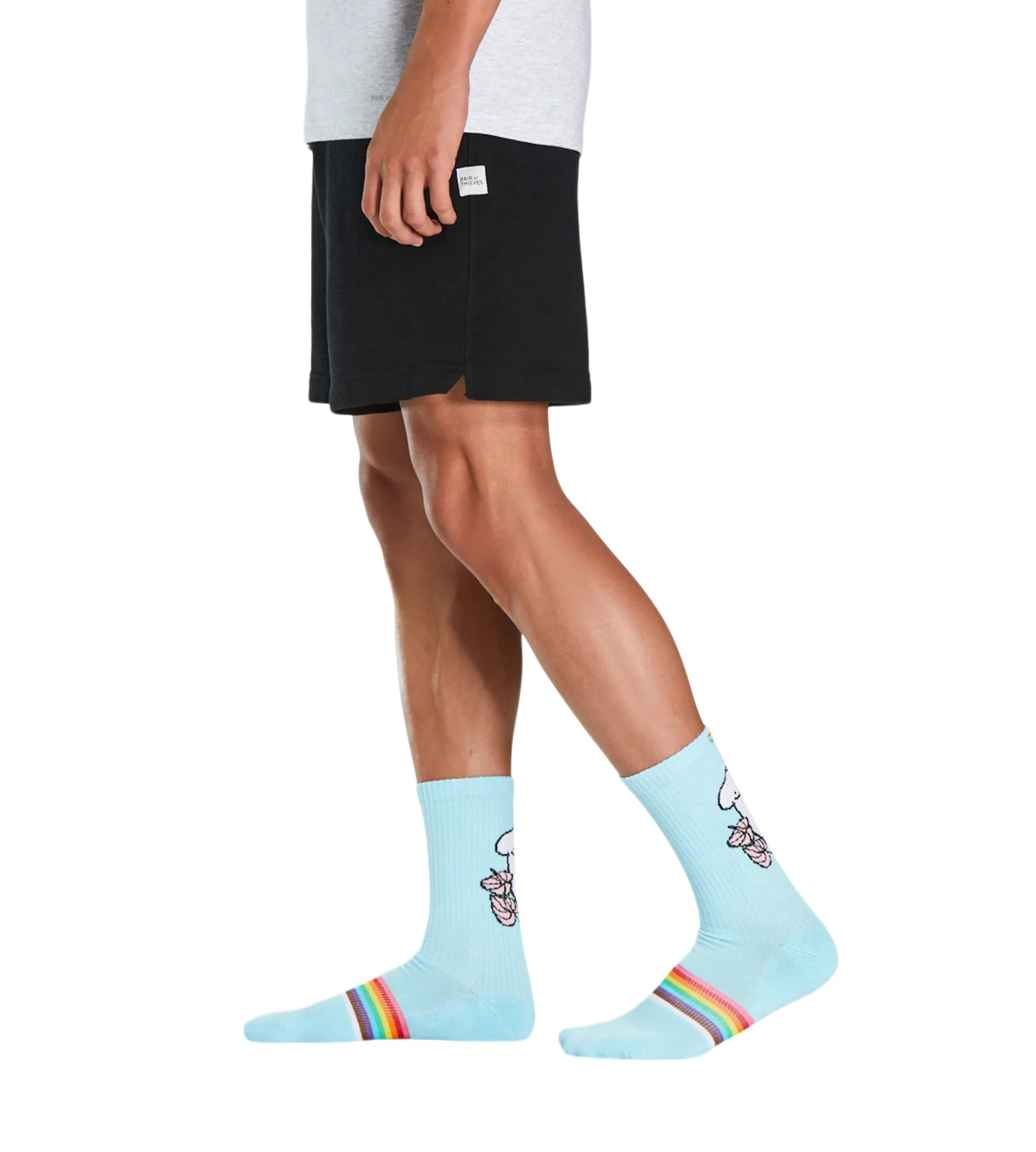 Cushion Crew Sock - PRIDE